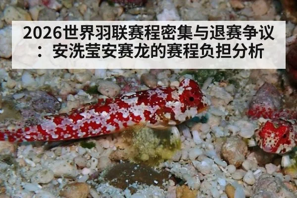 2026世界羽联赛程密集与退赛争议：安洗莹安赛龙的赛程负担分析 | jiuyou game